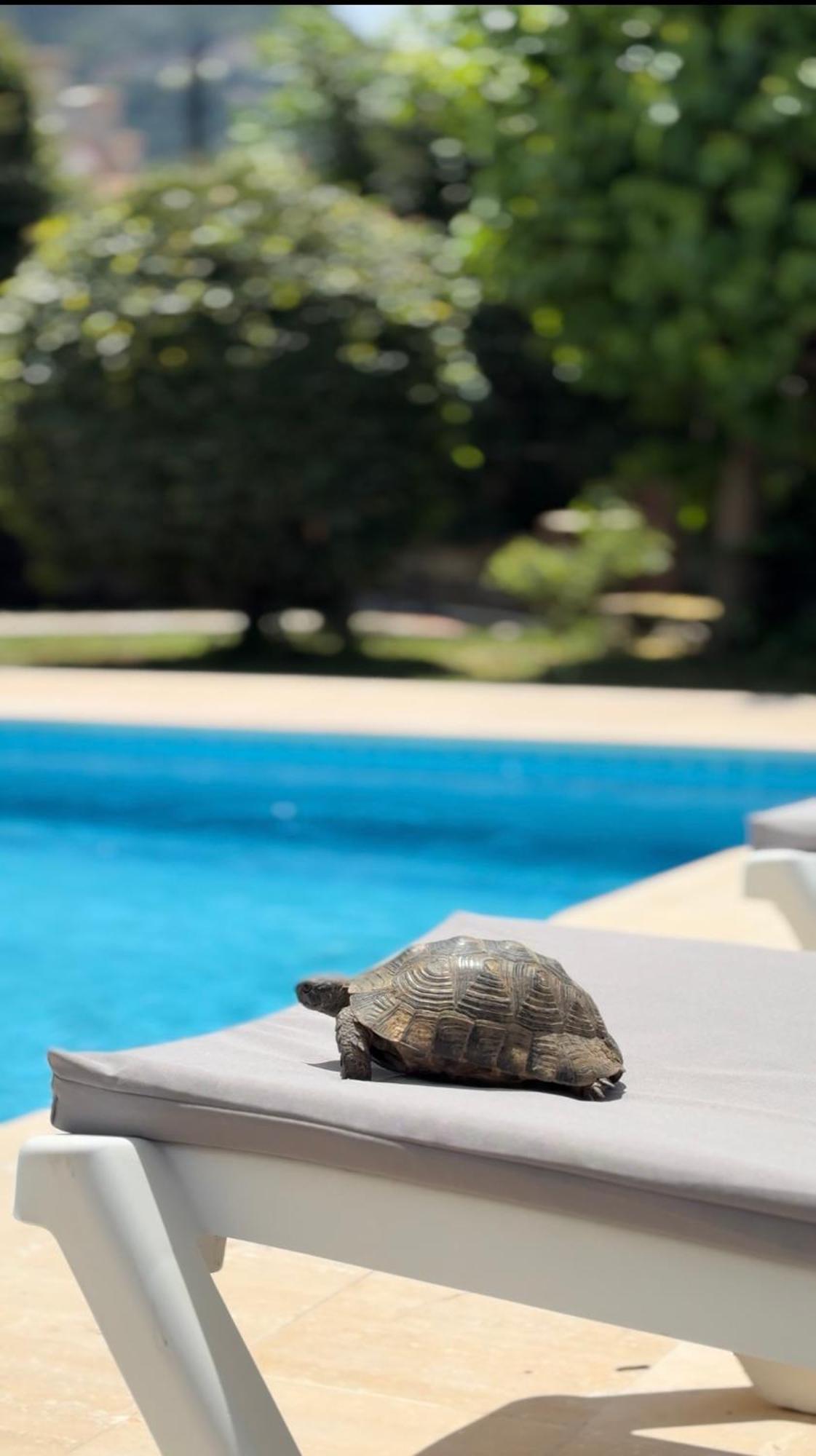 Villa Xanthos 301 Ölüdeniz Exterior foto